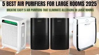 Breathe Easy! 5 Air Purifiers That ELIMINATE Allergens in Large Rooms.