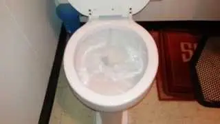 50 SPECIAL: 1963 Kohler Trylon and Kohler urinal.