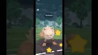 Shadow Sandslash 🥶 I Great League I PoGo I PvP #pokemongo