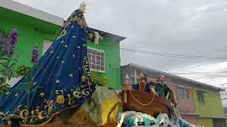 Ramito de Olivo  - Solemne Procesión de la Santísima Virgen de Dolores 2025