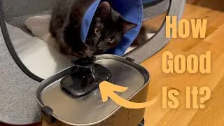 PETLIBRO Cat Water Fountain, Cordless Pet Water Fountain