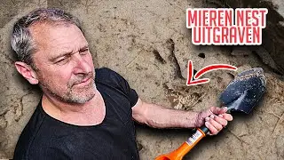 VADER TEGEN MIERENPLAAG HELE TUIN ERUIT! MIERENNEST UITGRAVEN Afl 35