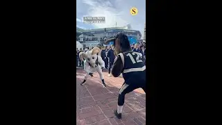 A Mascot Fight before Army-Navy
