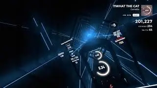 Beat Saber Camellia | WHAT THE CAT!? [Easy]