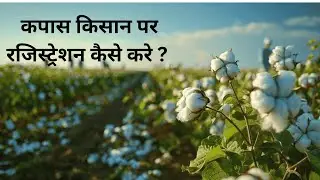 Kisan Kapas App Registration | Step by Step Guide + Doubts Answered
