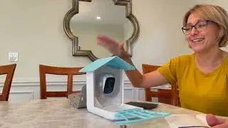BirdiePlus Smart Bird Feeder with AI-powered Camera and Bird Recognition