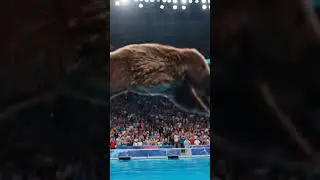 Brown Bear Amazing Stunt in Circus😱#shorts #circus #stunt #animals