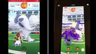 Mega absol mock solo 23 seconds left
