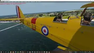 Prepar3D V4.5 2019 11 06   Ants Airplanes - Tiger moth Pro