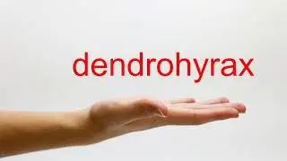 How to Pronounce dendrohyrax - American English