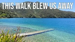 Best Walk in New Zealand? Queen Charlotte Track