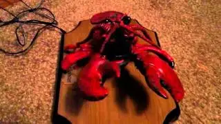 *** Lucky The Lobster *** (Singing Lobster)