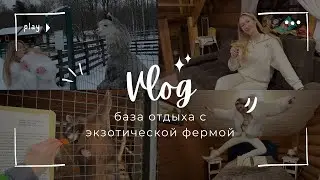 VLOG: БАЗА ОТДЫХА С ЭКЗОТИЧЕСКОЙ ФЕРМОЙ | куда съездить в Ленобласти