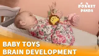 Baby Rattle Toys, Rattle Socks for infants 0 -12 Months, Newborn Sensory Toys for Brain Development