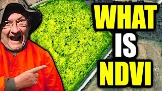 Revealing Earth's Hidden Stories: The Power of NDVI in Uncovering Ancient Crop Marks!