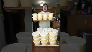 What a 300lb Food Donation Looks Like