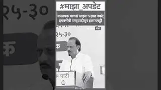 Ajit Pawar on Rajendra Hagawane - नालायक माणसं माझ्या पक्षात नको; हगवणेंची राष्ट्रवादीतून हकालपट्टी