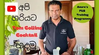 How to Make Tom Collins Cocktail
