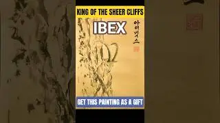 🐐 The Ibex &ndash; King of the Cliffs | Korean Art