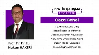 Pratik Çalışma Atölyesi - V - Ceza Genel - Prof Dr. Dr. h.c. Hakan HAKERİ