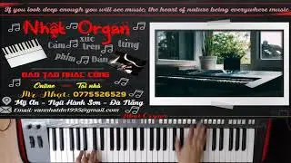 V&ugrave;ng L&aacute; Me Bay (Độc Tấu S&aacute;o Tr&uacute;c) - Nhật Organ