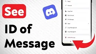 How To See ID of Message On Discord (Updated)