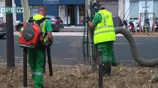 Tombent les feuilles mortes - Août 2019