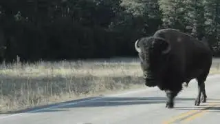 #nerdventures #roadtrip #middleofnowhere #budgettravle