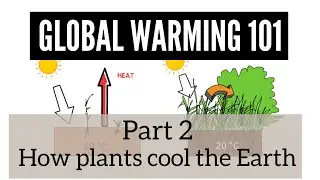 Global warming 101 - Part 2: How plants cool the Earth