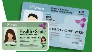 How to Renew Driver&rsquo;s Licence and Health Card Ontario Canada
