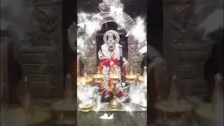56வது வழிபாடு #ayyappa #tamil #god #videos 