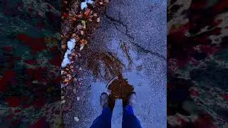 #funvideo Charlie Musselwhite - Christo Redemptor #musicvideo