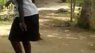 Feeding Crocodiles at Hans Cottage, Ghana