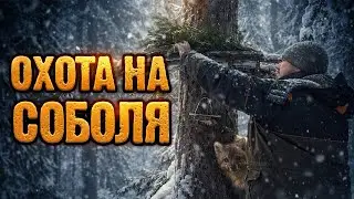 Один день в избе,добыл тетерева,нашел следы лосей,старый путик