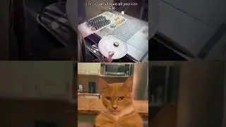 Life hack #memes #funny #viral