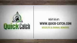 Quick Catch Animal Intrusion Prevention Guarantee