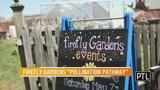Noble Environmental Green Gifts: Firefly Garden