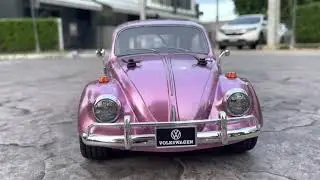 Tamiya VW beetle m-06 garden run