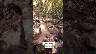 Таков Путь Лёхи в джунгли Гоа Часть 3