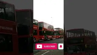 NEBPT Metrocentre Bus Show May 2025 #shorts #bus #buses