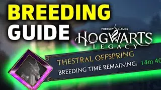How to Breed Beasts in Hogwarts Legacy using Breeding Pen (GUIDE)