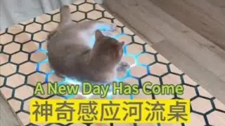 触摸感应河流桌也太神奇了，看我如何自己动手制作一张 #生活美学 #手艺人 #手工diy #大众的小窝窝