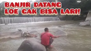 Spotnya Bagus Umpan Gacor! Tapi Strek Bertubi-tubi, Duh Jadi Enak nih Mancingnya!