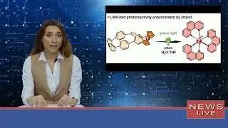 Clever konstruierter Kohlenstoff-Nanohoop erm&ouml;glicht kontrollierte Freisetzung von Eisen