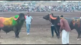 Kaliya king VS Deva