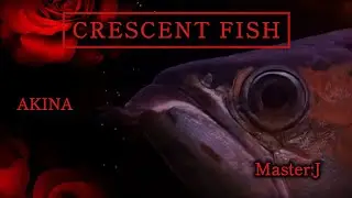 CRESCENT FISH【中森明菜】🌹🌿✨