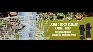 ANT MARCH Live Animal Cage Trap