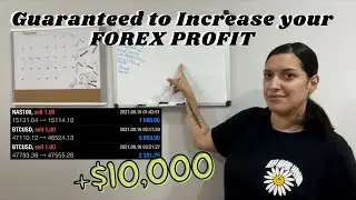 How to Increase your FOREX PROFIT IMMEDIATELY!!! (Forex strategy)