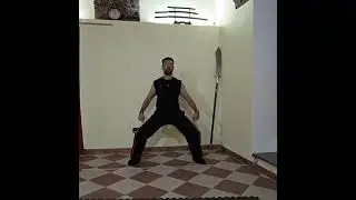 Come imparare il Kung fu!