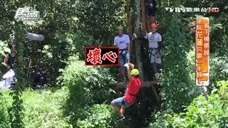 【花蓮】野猴子探險森林 好玩刺激的溜索體驗 食尚玩家 20160801